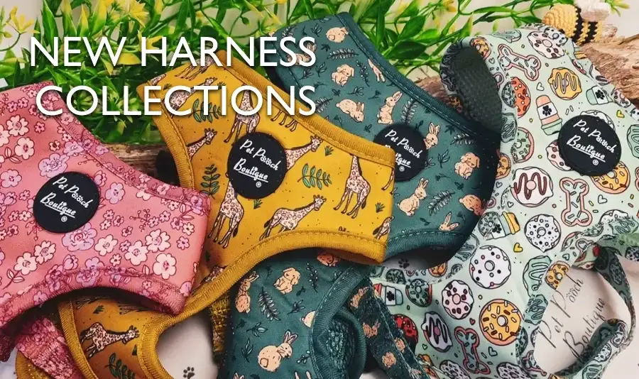 Luxury Style for Every Dog