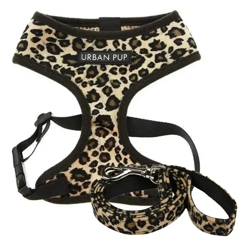 Pet Accessories Sale Bargains